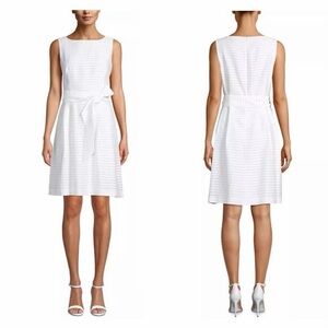 Anne Klein Sheer Stripe Fit & Flare White Mini Dress